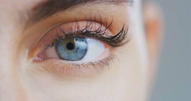 3 natural remedies to grow your eyelashes naturally